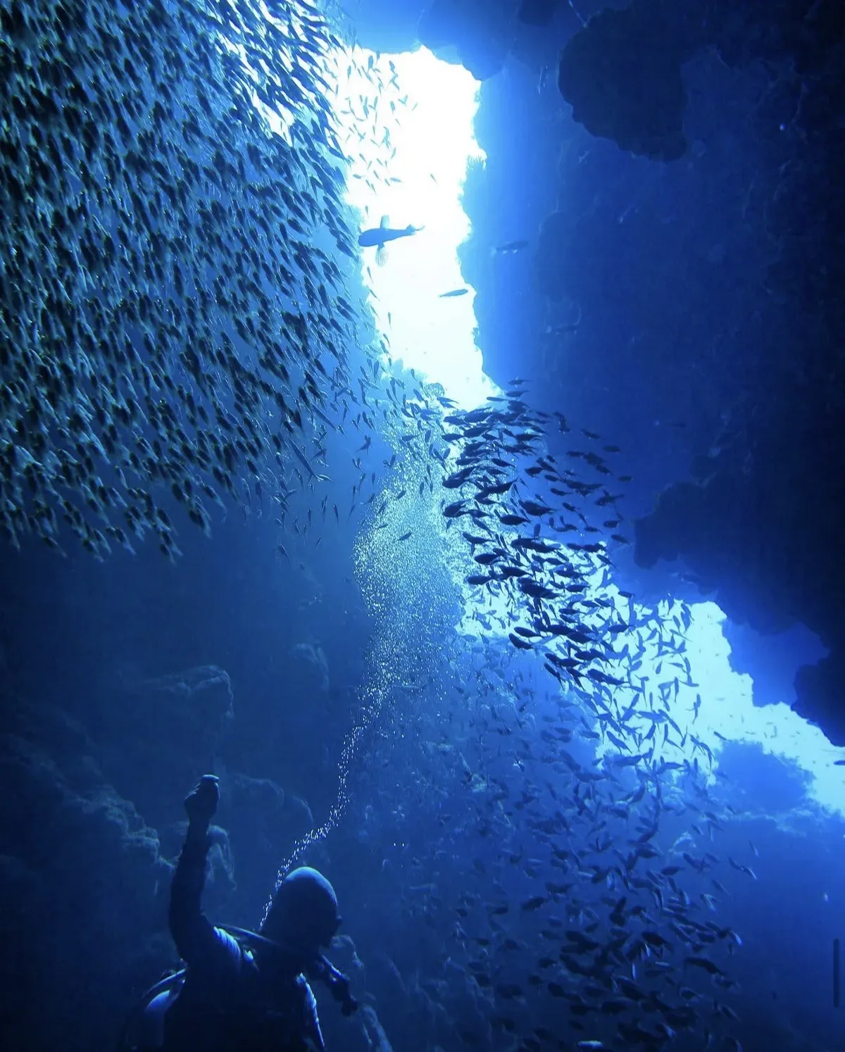Buceo 3