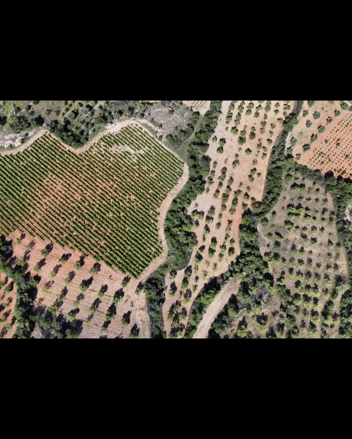 Naturaleza 3