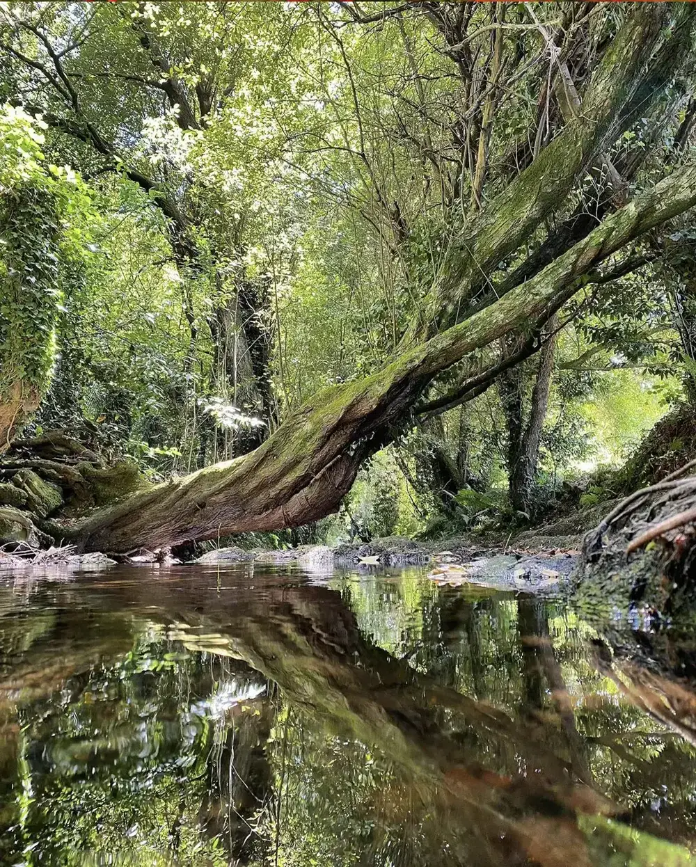 Naturaleza 5