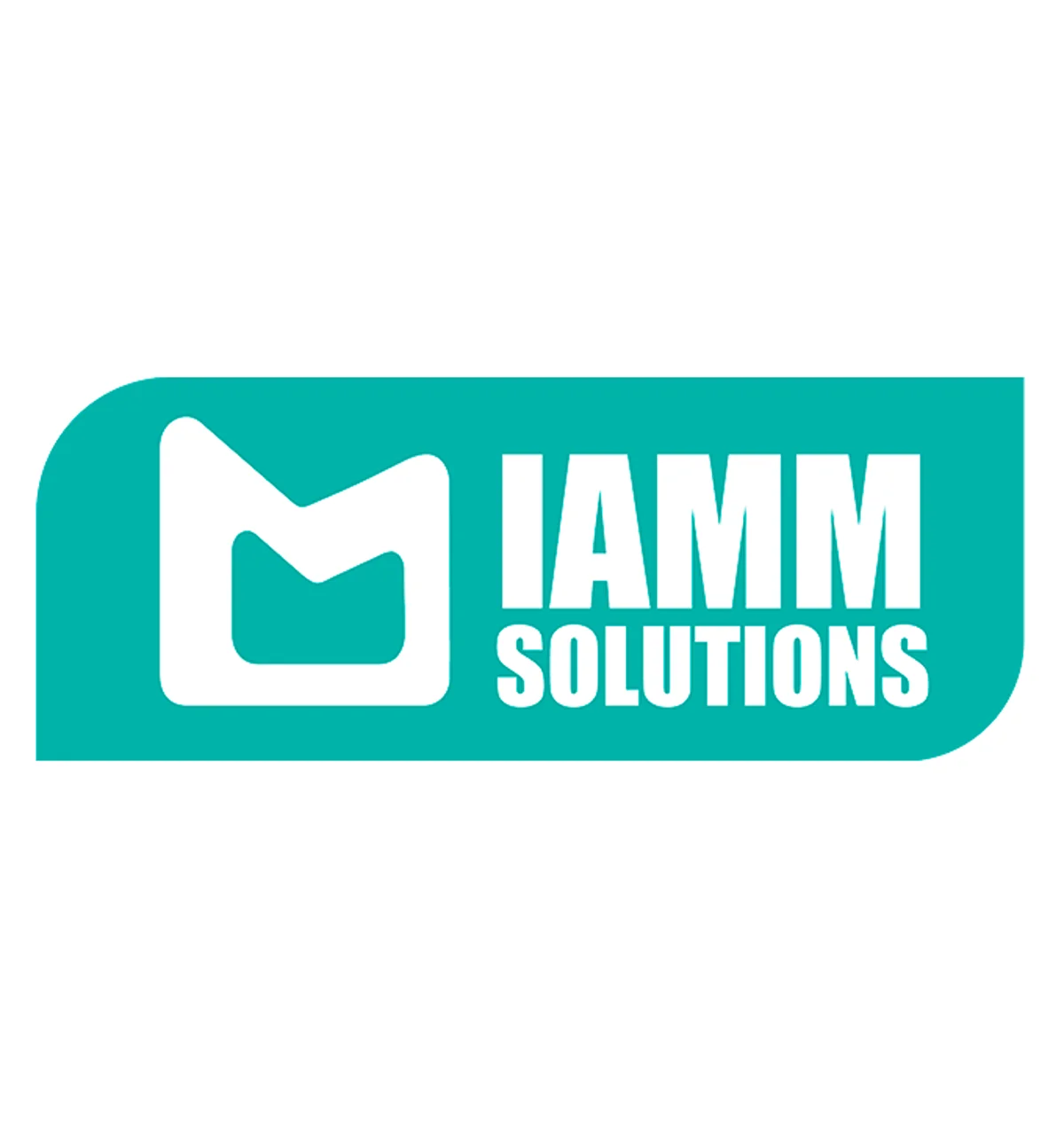 IAMM Solutions 2