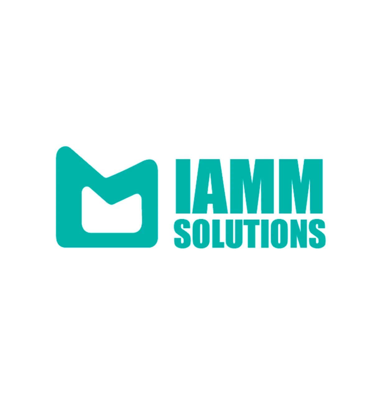 IAMM Solutions 3